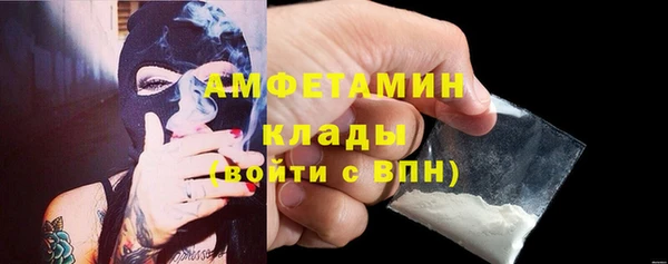 ПСИЛОЦИБИНОВЫЕ ГРИБЫ Инсар
