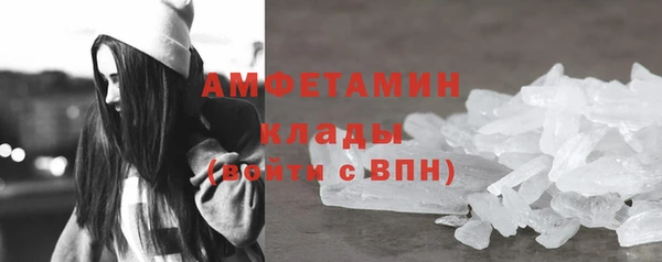 ПСИЛОЦИБИНОВЫЕ ГРИБЫ Инсар