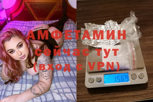 спиды Инта