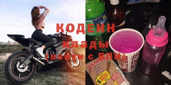 ПСИЛОЦИБИНОВЫЕ ГРИБЫ Инсар